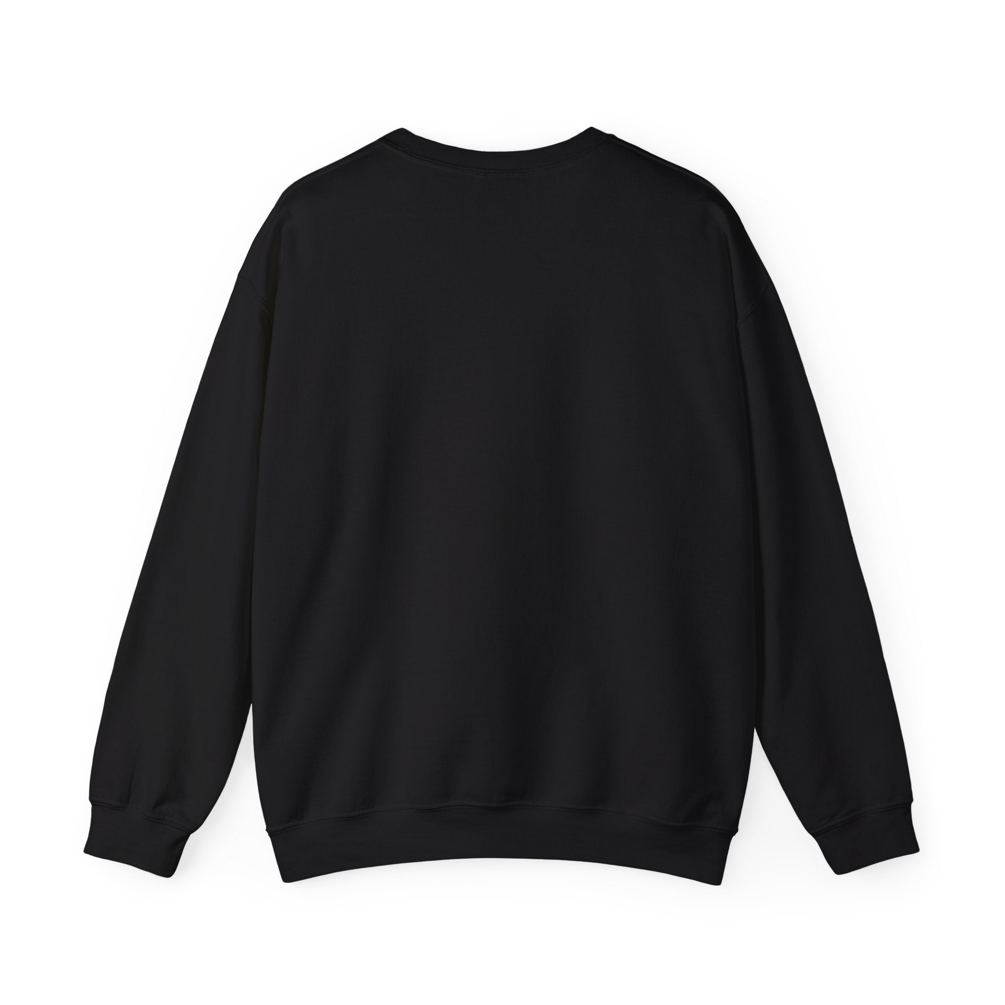 Mercury Retrograde Apology Sweatshirt — Funny Astrology Crewneck Black